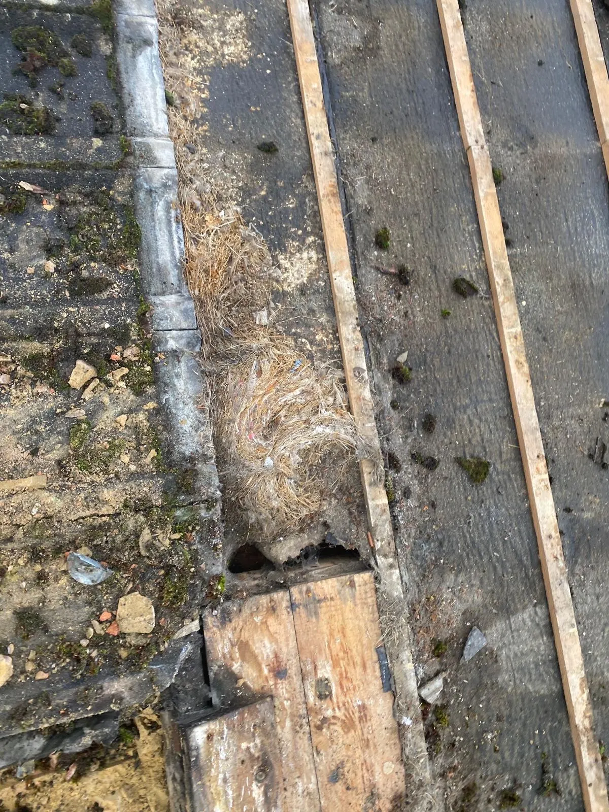 New Roofs by LA Stevens Property Maintenance (6)